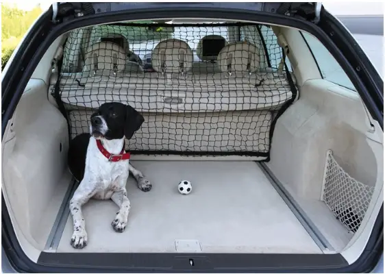 Lastenett for bruk ved transport av hund i bil